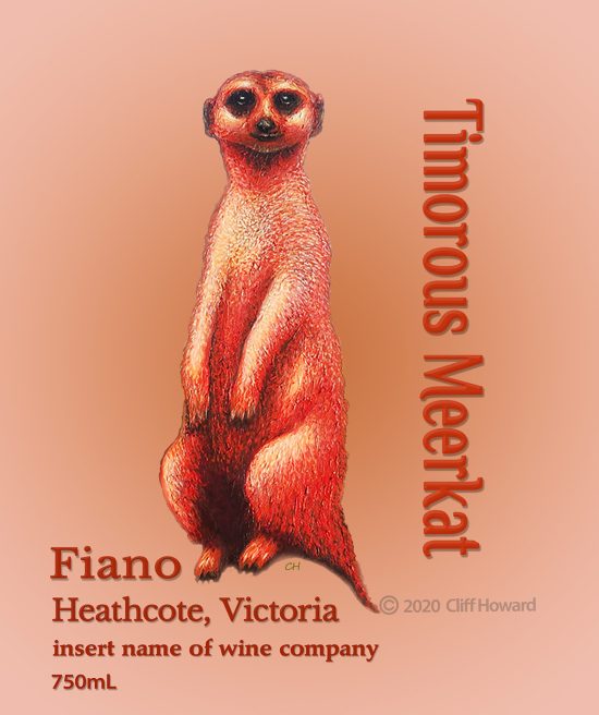 Timorous Meerkat